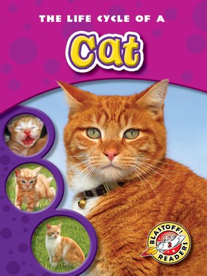 cover image of The Life Cycle of a Cat